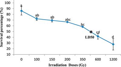 Gamma irradiation-induced genetic variability and its effects on the phenotypic and agronomic traits of groundnut (Arachis hypogaeaL.)